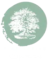 Distinctive Spaces Logo